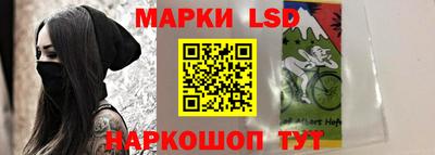 СК Новокубанск