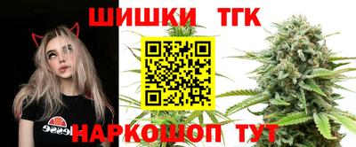 СК Новокубанск