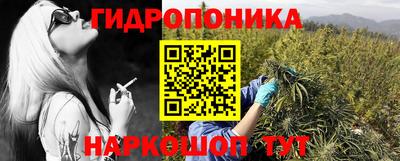 герыч Новодвинск