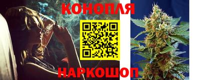 СК Новокубанск