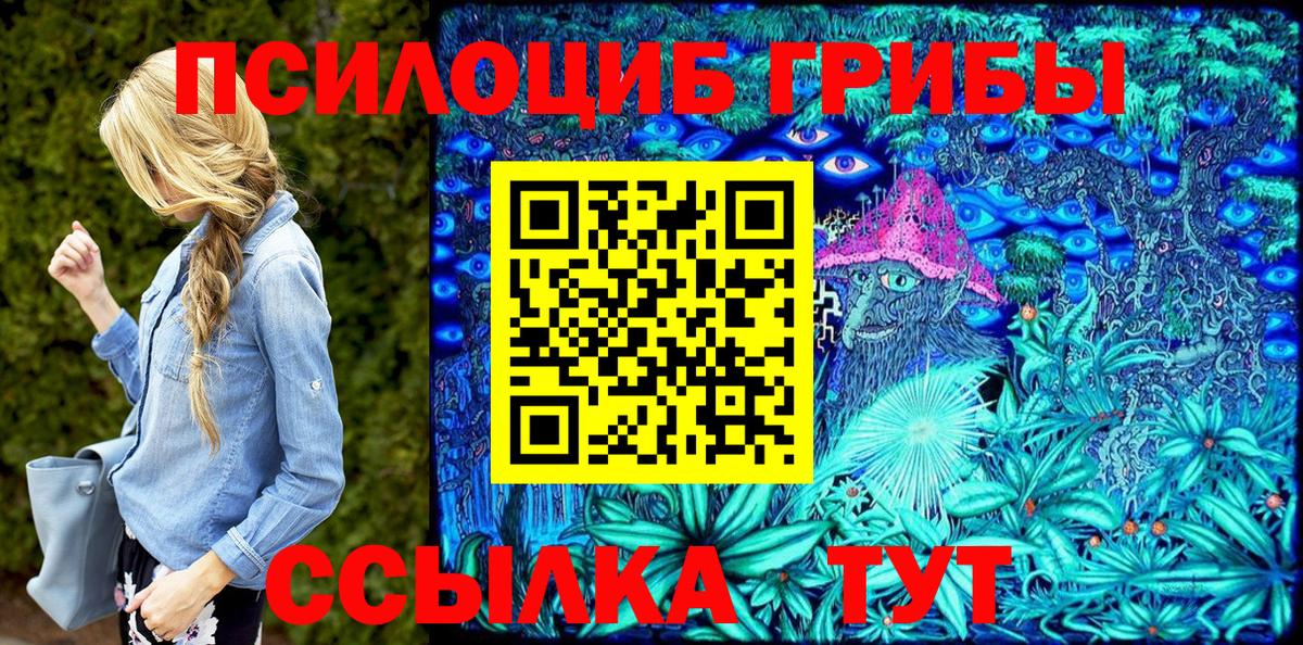 Заречный  дарнет шоп  Вход с VPN  Галлюциногенные грибы Magic Shrooms 