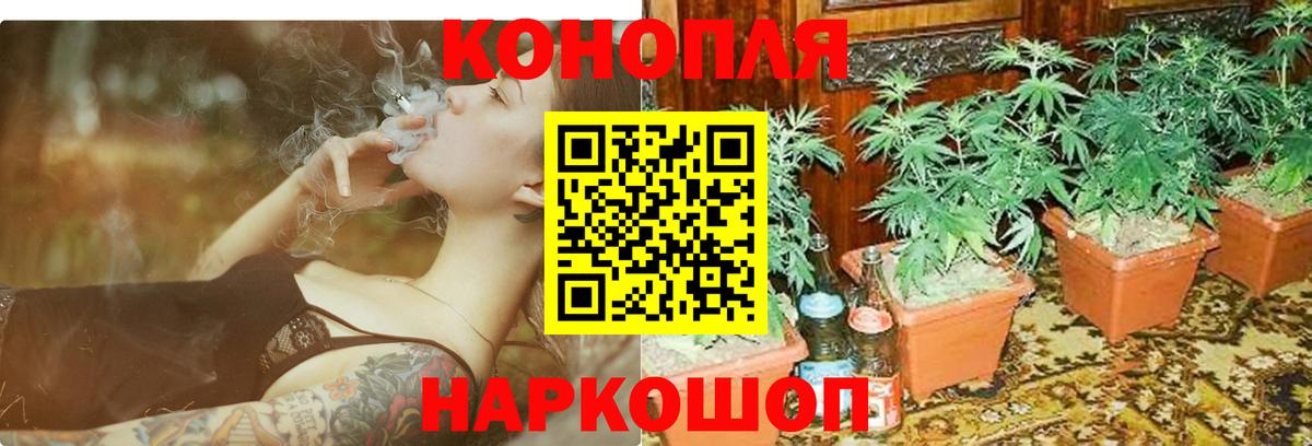 Бошки Шишки индика Заречный